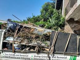 Best Hoarding Cleanup  in Hunters Creek, FL